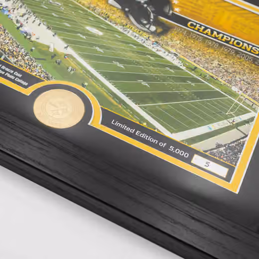 Pittsburgh Steelers Team Stadium Bronze Coin Framed NFL Photo view 2
