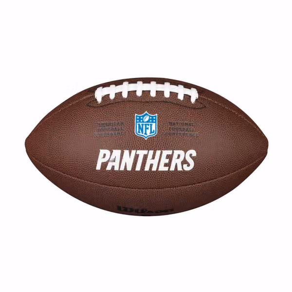 Carolina Panthers Backyard Wilson Full Size NFL Football view 2