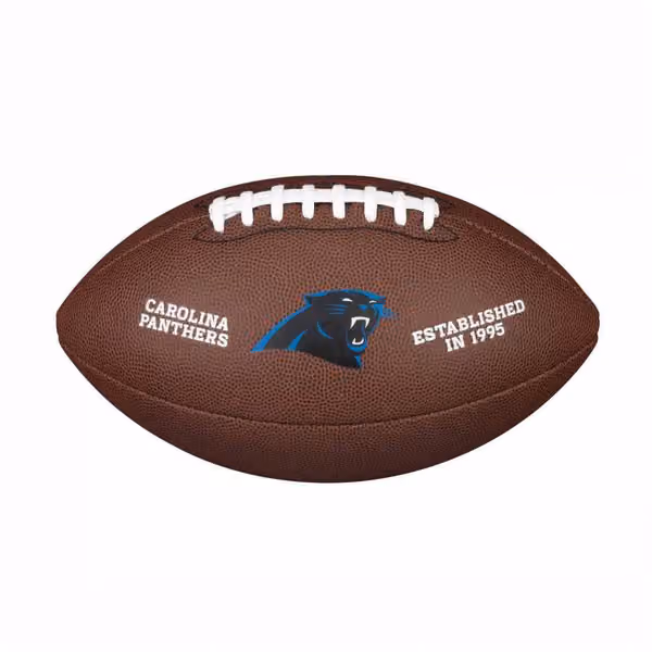 Carolina Panthers Backyard Wilson Full Size NFL Football view 1