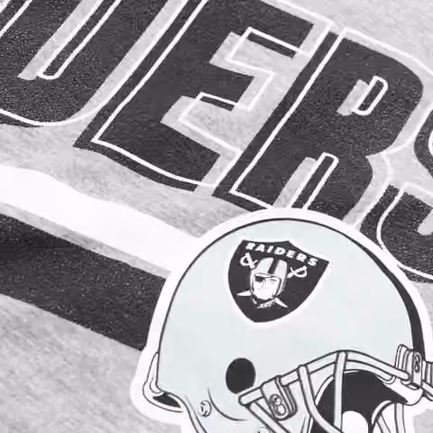 Las Vegas Raiders Blitz Nike Essential NFL T-Shirt Grey view 3