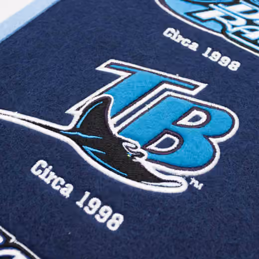 Tampa Bay Rays Logo Evolution MLB Wool Banner view 3