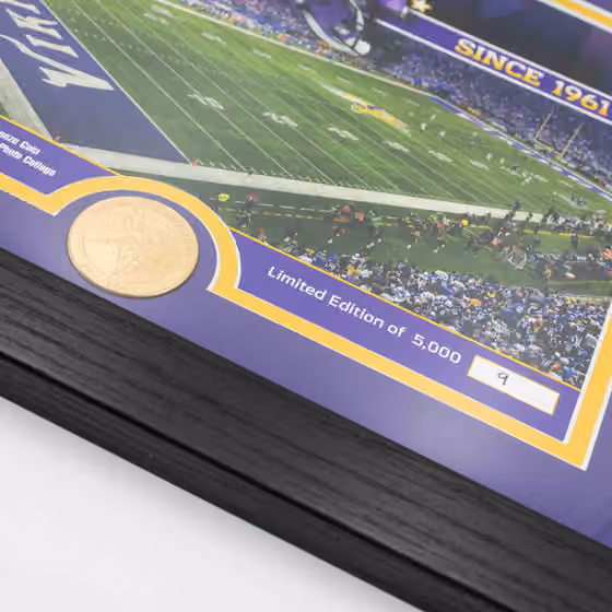 Minnesota Vikings Team Stadium Bronze Coin Framed NFL Photo view 2