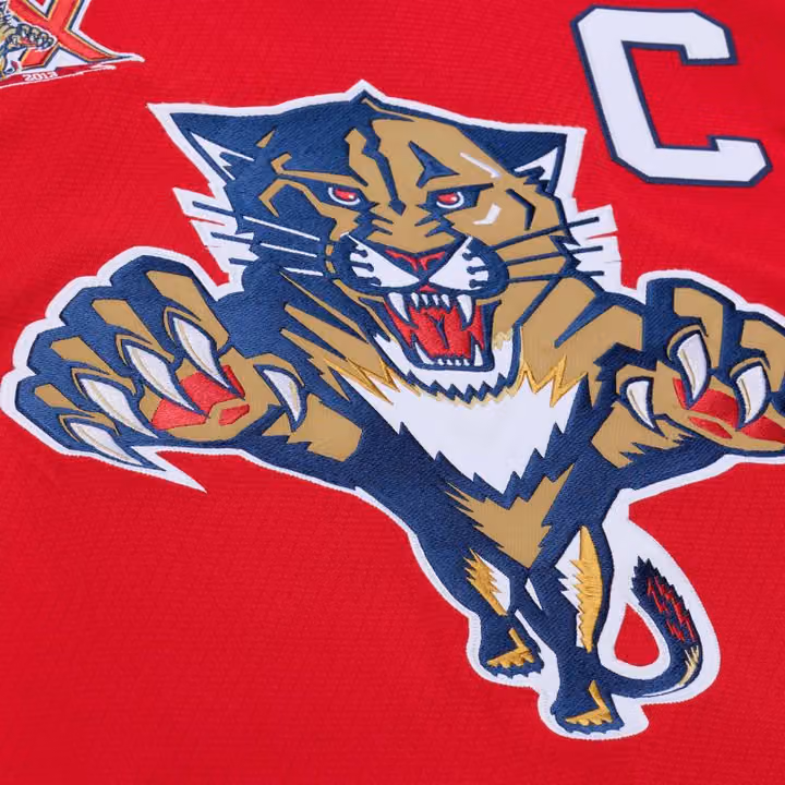 Ed Jovanovski #55 Florida Panthers 2013-14 Premium Power Play NHL Jersey Red view 6