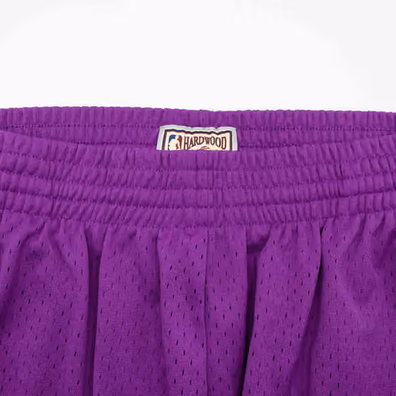 Phoenix Suns 1991-92 Mitchell & Ness Swingman NBA Shorts Purple view 5