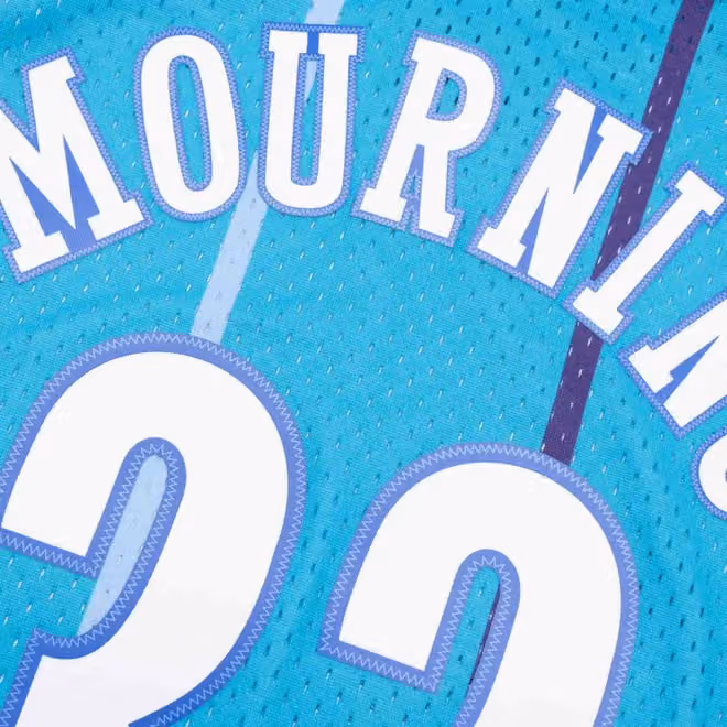 Alonzo Mourning #33 Charlotte Hornets 1992-93 Swingman NBA Jersey view 4
