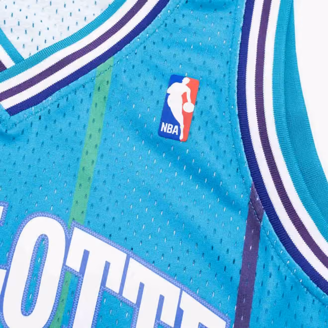 Alonzo Mourning #33 Charlotte Hornets 1992-93 Swingman NBA Jersey view 5
