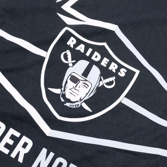 Las Vegas Raiders Local Phrase Nike Essential NFL T-Shirt Black view 3