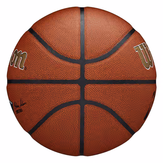 New Orleans Pelicans Wilson Team Alliance Basketball (Size 7) view 5