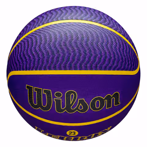 LeBron James Los Angeles Lakers NBA Icon Outdoor Basketball (Size 7) view 6
