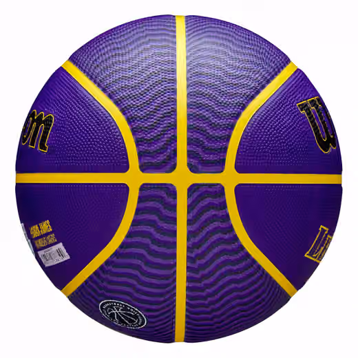 LeBron James Los Angeles Lakers NBA Icon Outdoor Basketball (Size 7) view 5