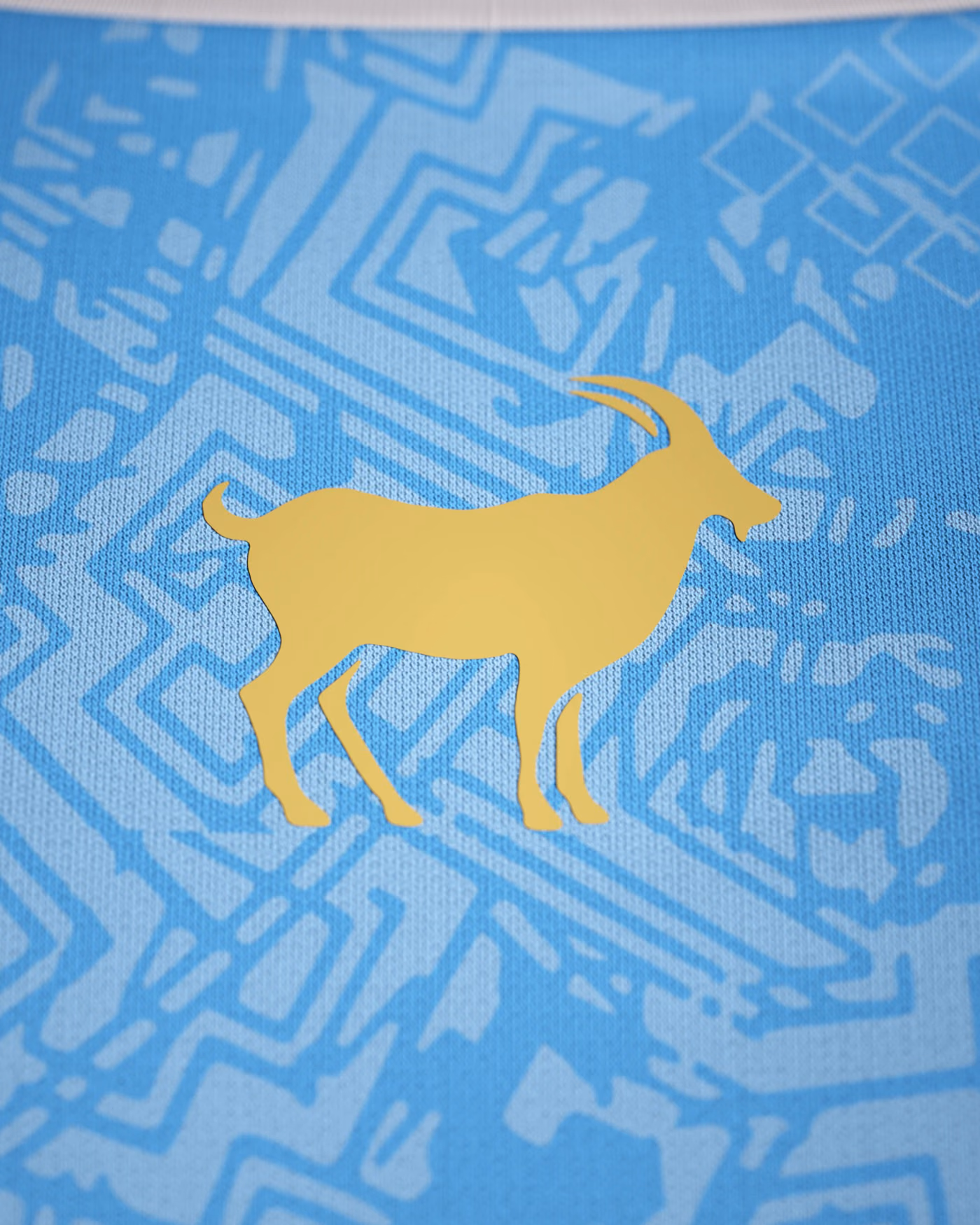 Jersevo Custom Personalized La Pulga Jersey - Blue detail view 6