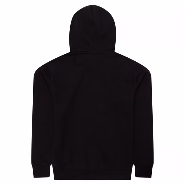Chicago White Sox Team Logo MLB Hoodie Black view 2