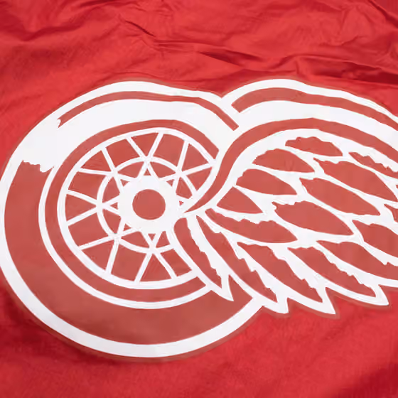 Detroit Red Wings Undeniable Mitchell & Ness NHL Windbreaker Jacket view 6