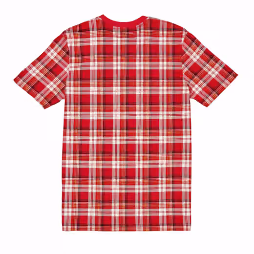 San Francisco 49ers Plaid 2024 New Era 3rd Down NFL T-Shirt Red view 2