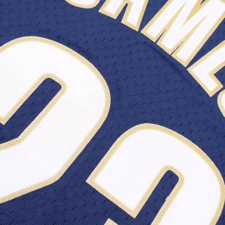 LeBron James #23 Cleveland Cavaliers 2008-09 Mitchell & Ness Swingman NBA Jersey view 5