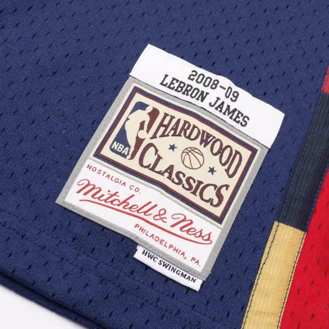 LeBron James #23 Cleveland Cavaliers 2008-09 Mitchell & Ness Swingman NBA Jersey view 3