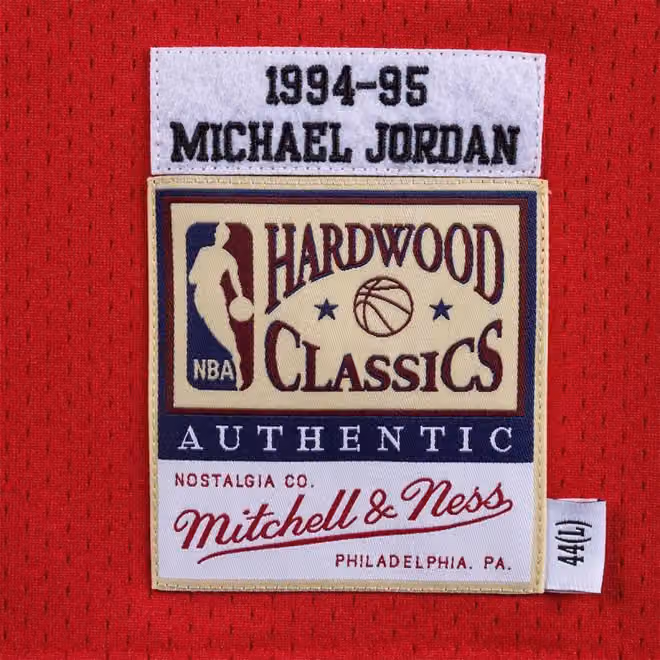 Michael Jordan #45 Chicago Bulls 1994-95 Authentic NBA Jersey Red view 3