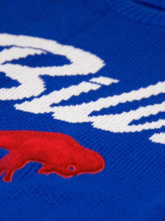Buffalo Bills NFL Head Coach Sweater Blue view 4