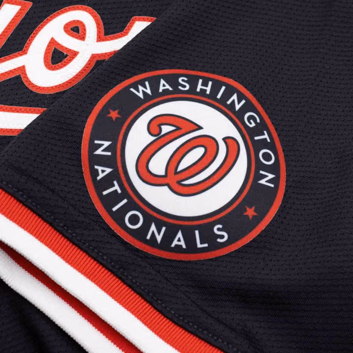 Washington Nationals Nike Limited MLB Baseball Jersey Alternate Navy view 4