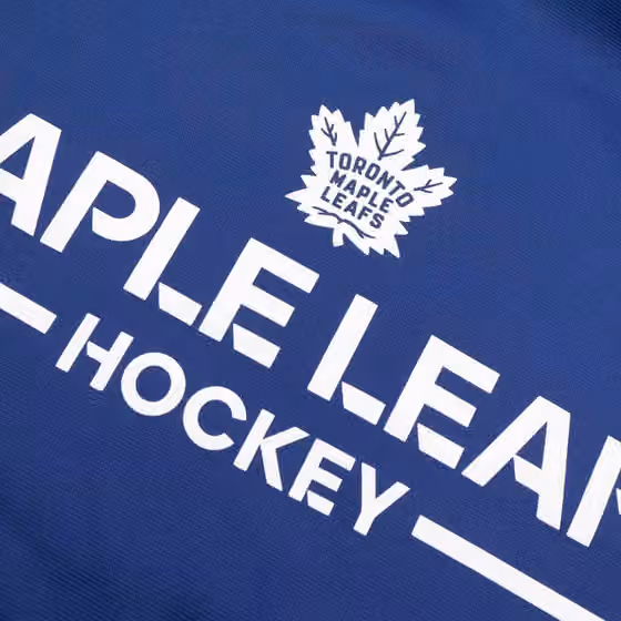 Toronto Maple Leafs 2025/26 Authentic Pro Rink Tech NHL Hoodie Blue view 3