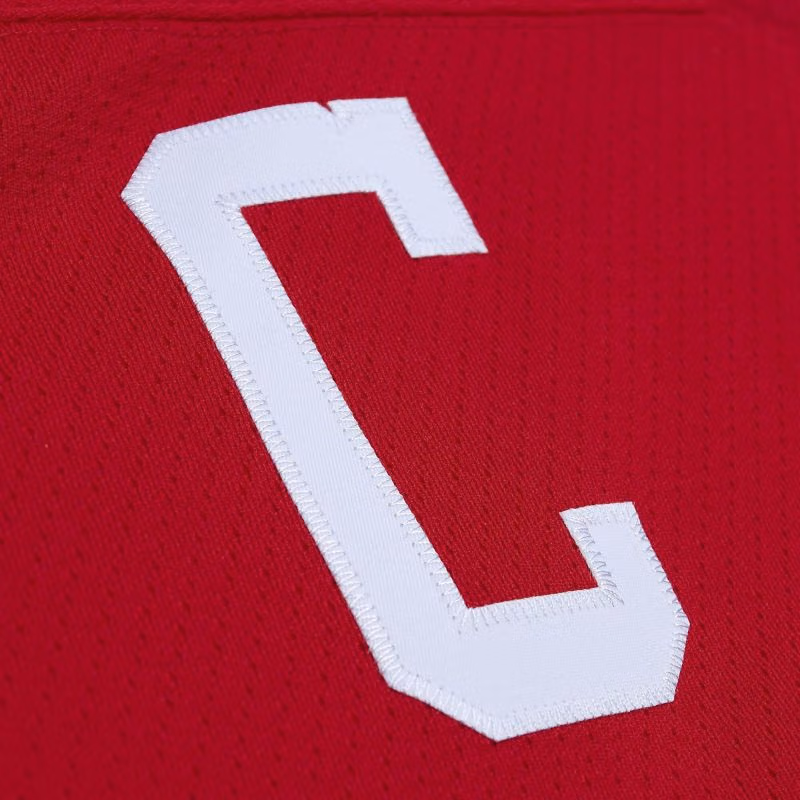 Gordie Howe #9 Detroit Red Wings 1960-61 Mitchell & Ness NHL Jersey view 4