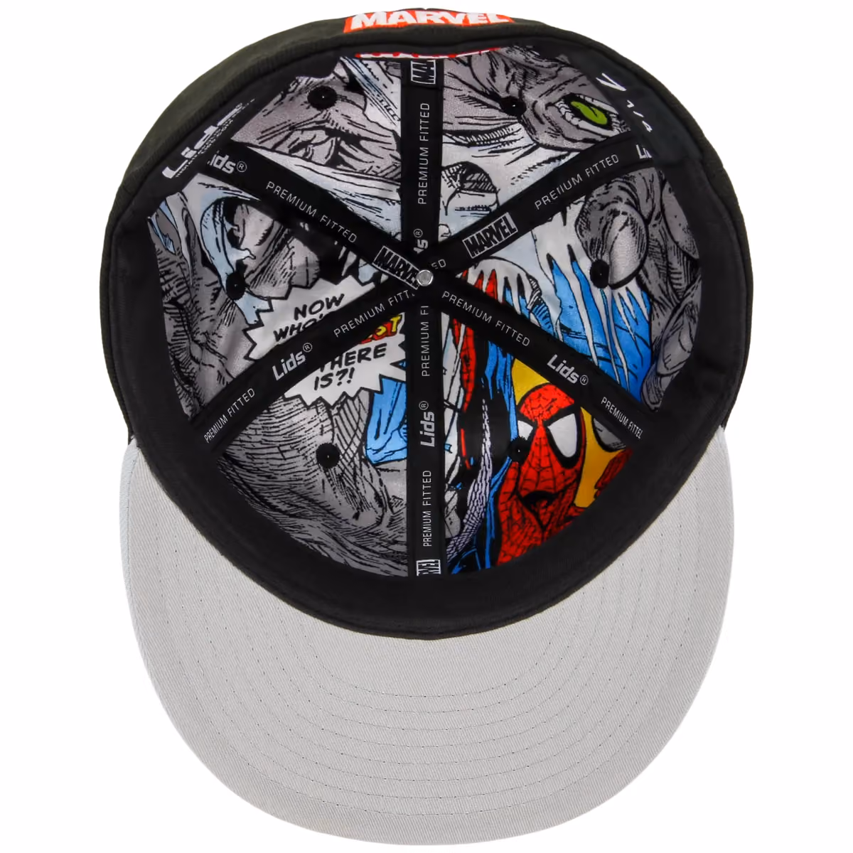 The Amazing Spider-Man' (Black/Gray) - The Spider-Man vs. Hulk Collection back view