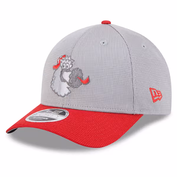 Philadelphia Phillies Colorway 2025 MLB Batting Practice 9FORTY M-Crown Snapback Cap Gray product photo
