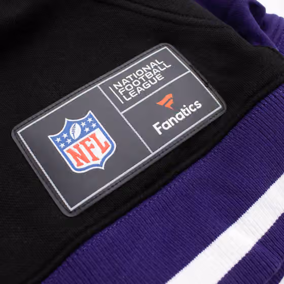Baltimore Ravens Foundation NFL Hoodie Purple view 6