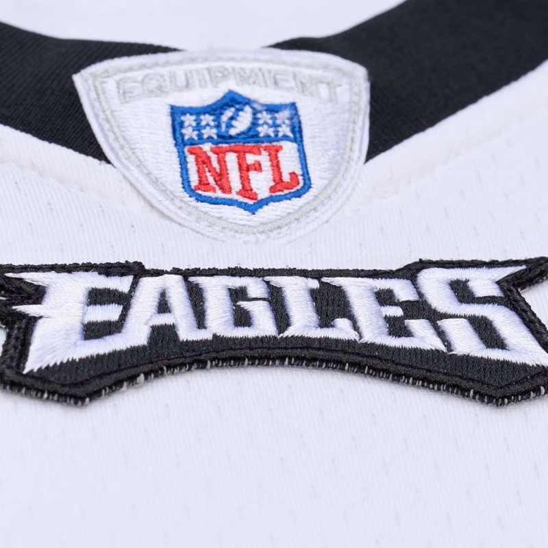 LeSean McCoy #29 Philadelphia Eagles 2009 Legacy Throwback NFL Jersey White view 4