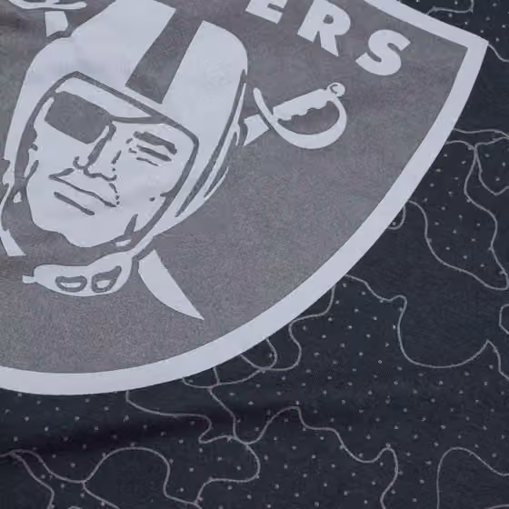 Las Vegas Raiders Reflective RFLCTV Nike Essential NFL T-Shirt Black view 4