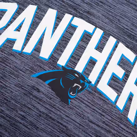 Carolina Panthers 2022 NFL Sideline Nike Velocity Performance T-Shirt view 3
