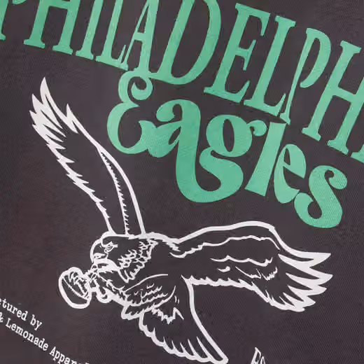 Philadelphia Eagles L&L '76 Classics NFL Hoodie Black view 3