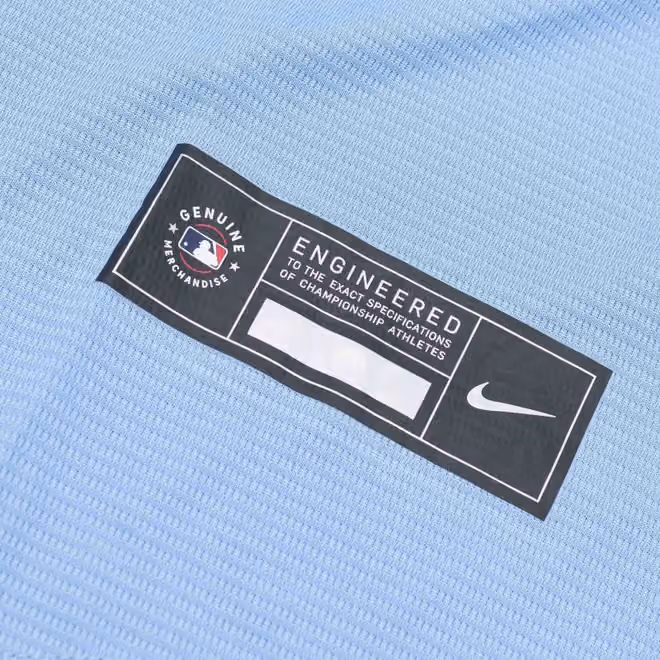 Toronto Blue Jays MLB Alternate Jersey Blue view 5