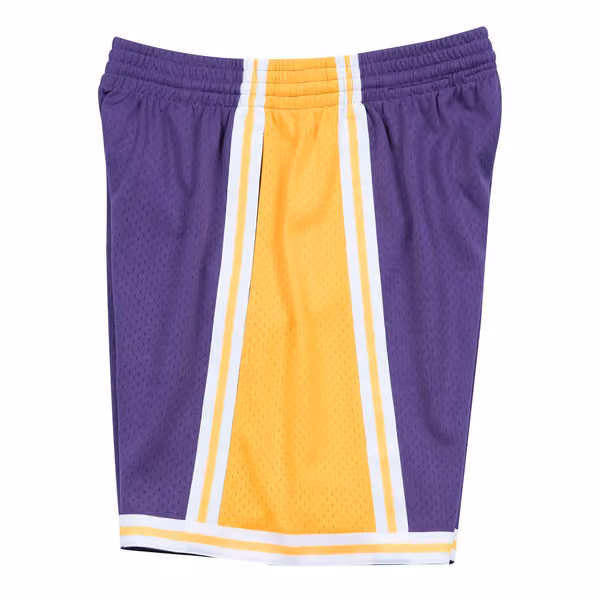 Los Angeles Lakers 1984-85 Mitchell & Ness Swingman NBA Shorts Purple view 3