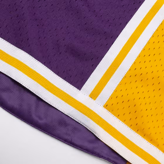 Los Angeles Lakers 1984-85 Mitchell & Ness Swingman NBA Shorts Purple view 5