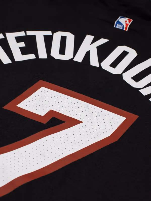 Giannis Antetokounmpo #7 Miami Heat Icon NBA T-Shirt Black view 5