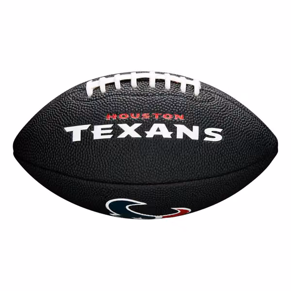 Houston Texans NFL Mini Football Black view 1