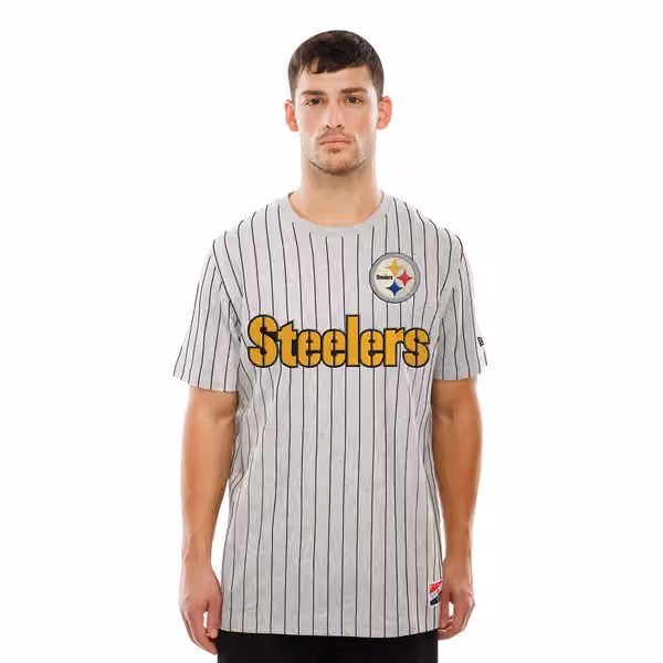 Pittsburgh Steelers Retro Stripe NFL T-Shirt Gray view 1