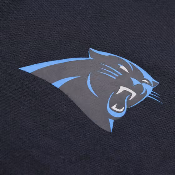 Carolina Panthers 2024 NFL Sideline Nike Club Sweat Pants Black view 4