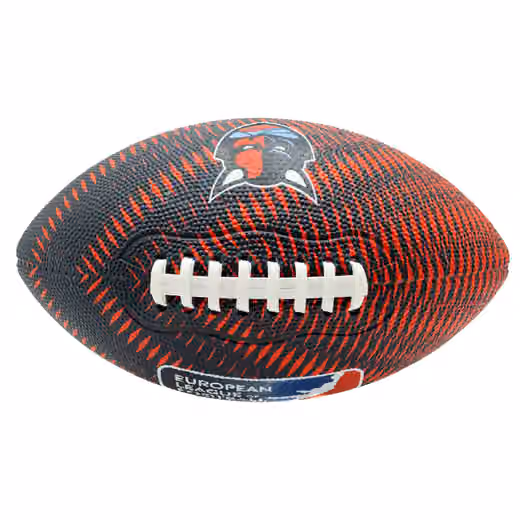 Hamburg Sea Devils Tailgate Wilson ELF Junior Football view 3