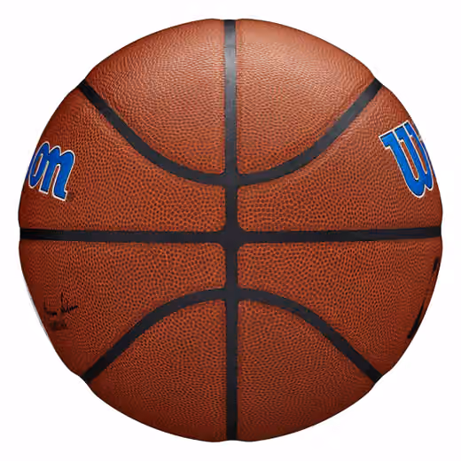 Philadelphia 76ers Wilson Team Alliance Basketball (Size 7) view 5