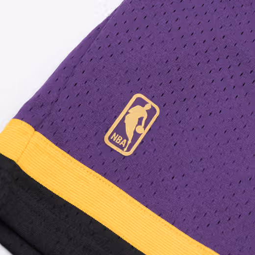 Phoenix Suns 1996-97 Mitchell & Ness Swingman NBA Shorts Purple view 4
