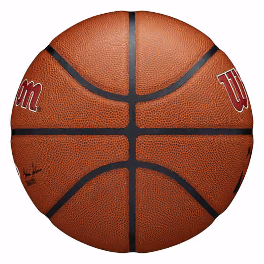 Miami Heat Wilson Team Alliance NBA Basketball (Size 7) view 5