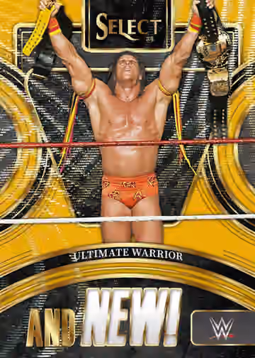 2024 Panini Select WWE Wrestling International Hobby Box view 2