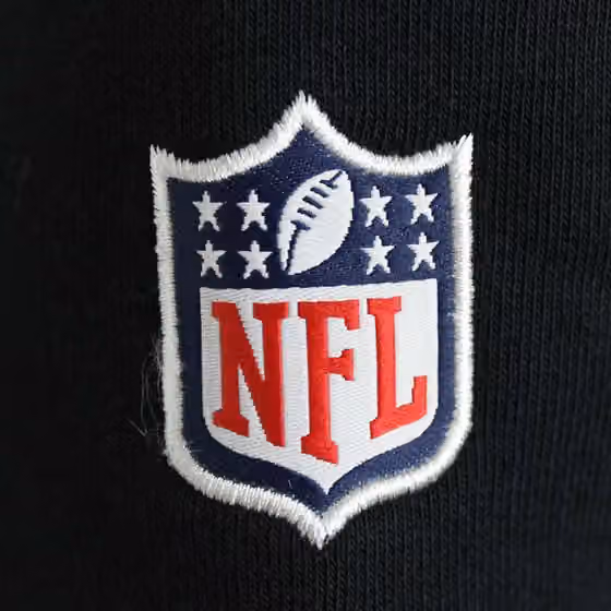 NFL Shield Logo Crewneck NFL Sweatshirt Black view 3