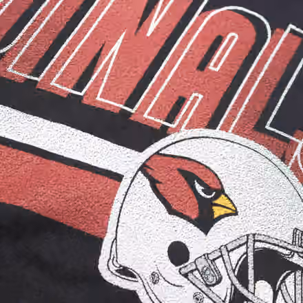 Arizona Cardinals Blitz Nike Essential NFL T-Shirt Black view 3
