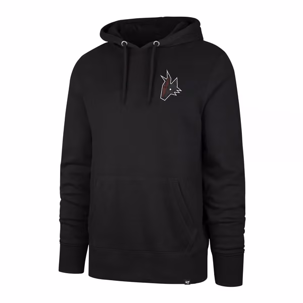 Arizona Coyotes Tonal Backer Burnside NHL Hoodie Black view 1