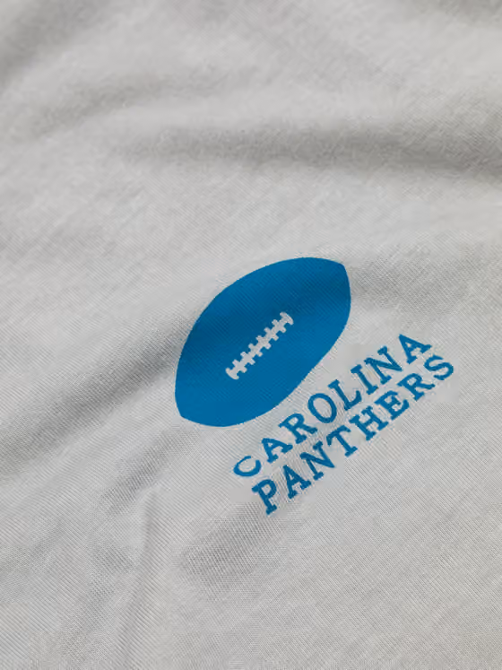 Carolina Panthers L&L '89 Classics NFL T-Shirt Gray view 3