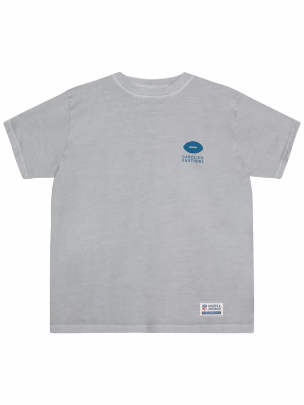 Carolina Panthers L&L '89 Classics NFL T-Shirt Gray view 2