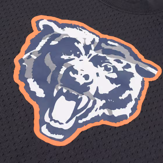 Chicago Bears Mitchell & Ness Camo Reflective NFL Crew Mesh Jersey view 3